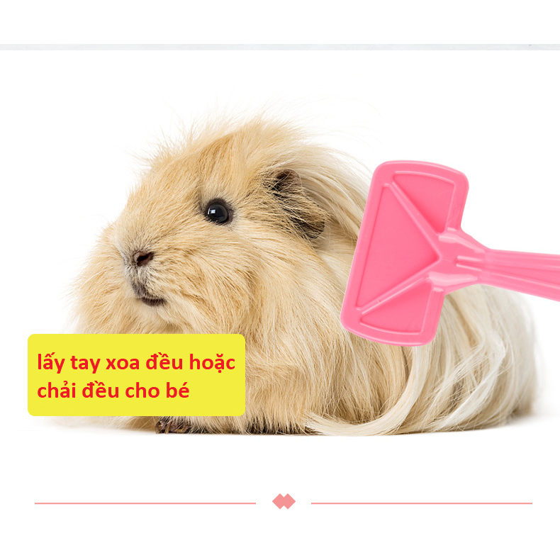Phấn tắm khô cho hamster, Guinea Pig , thỏ, nhím, sóc, chinchilla