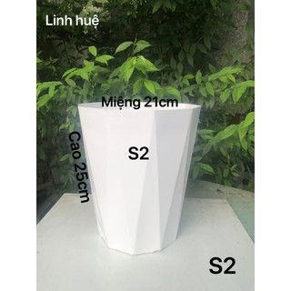 Chậu nhựa trồng cây 5 cái kim cương S2 màu trắng dày dặn