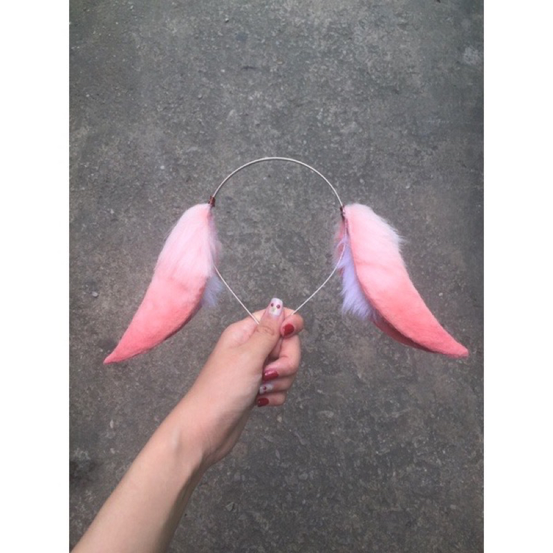 Tai cáo dáng cụp