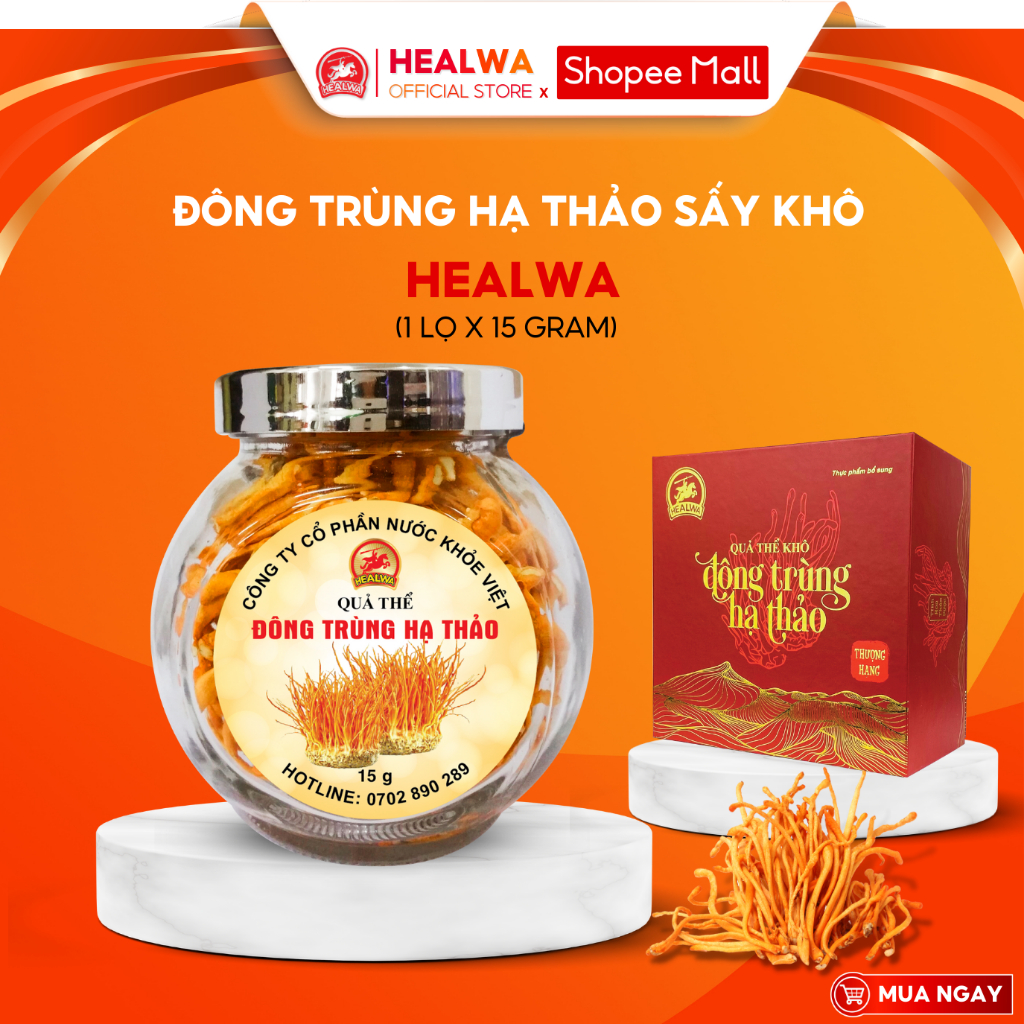 Đông trùng hạ thảo sấy khô thượng hạng Healwa Hàng chính hãng