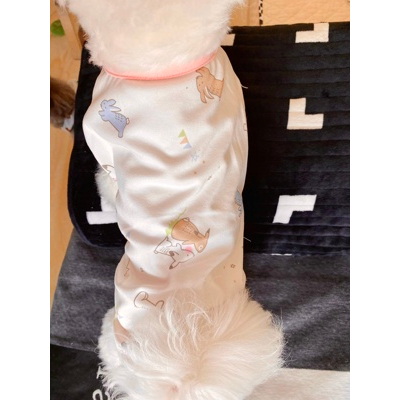 Áo thun/ba lỗ hai chú thỏ dành cho thú cưng