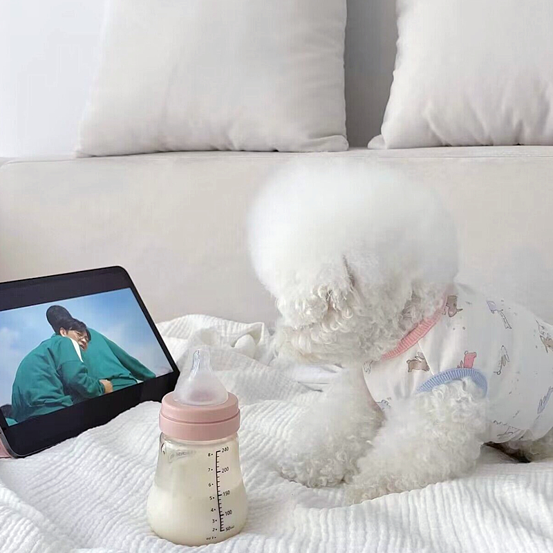 Áo thun/ba lỗ hai chú thỏ dành cho thú cưng