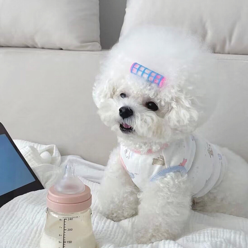 Áo thun/ba lỗ hai chú thỏ dành cho thú cưng