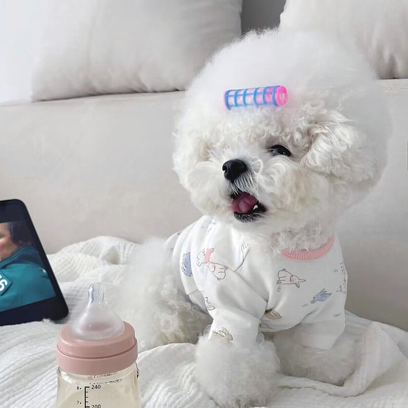 Áo thun/ba lỗ hai chú thỏ dành cho thú cưng