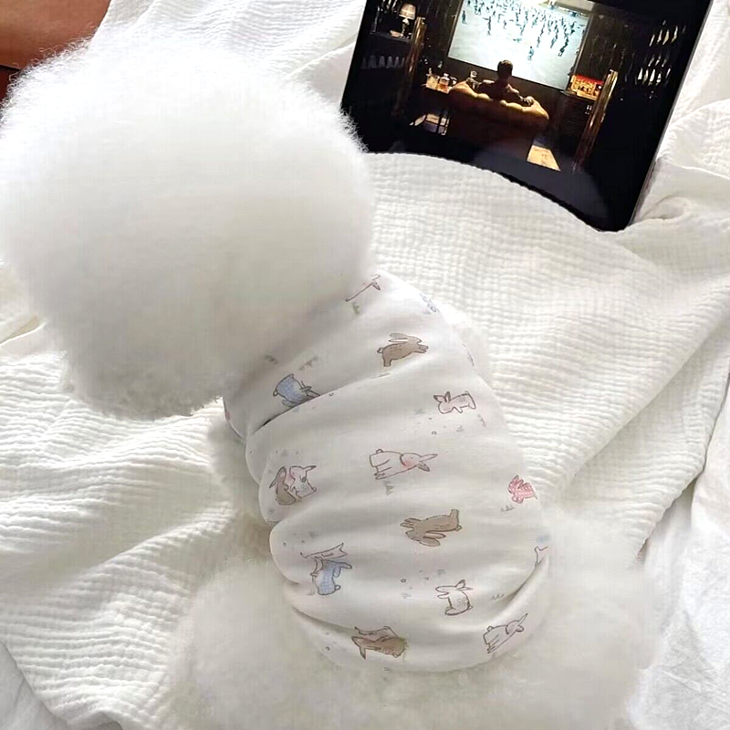 Áo thun/ba lỗ hai chú thỏ dành cho thú cưng