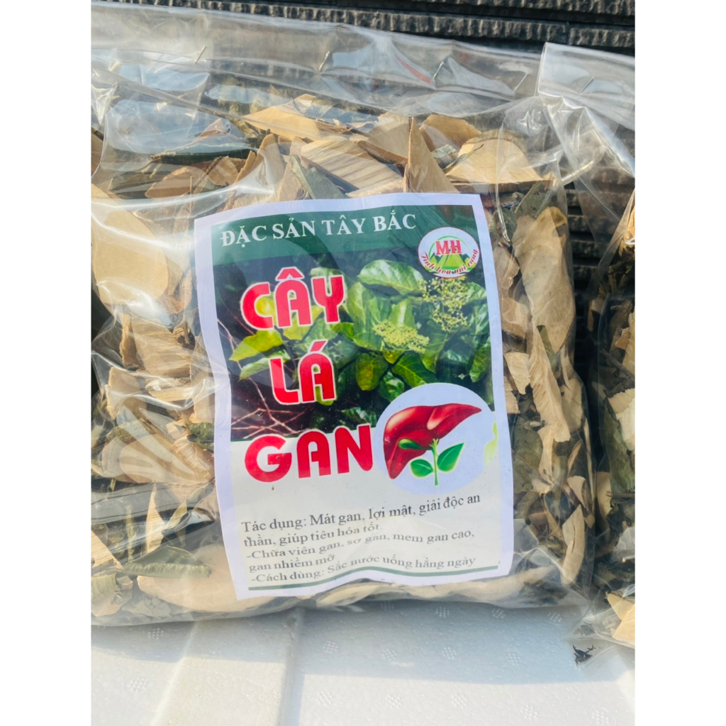 1kg CÂY LÁ GAN GIẢI ĐỘC, MÁT GAN, THANH LỌC CƠ THỂ