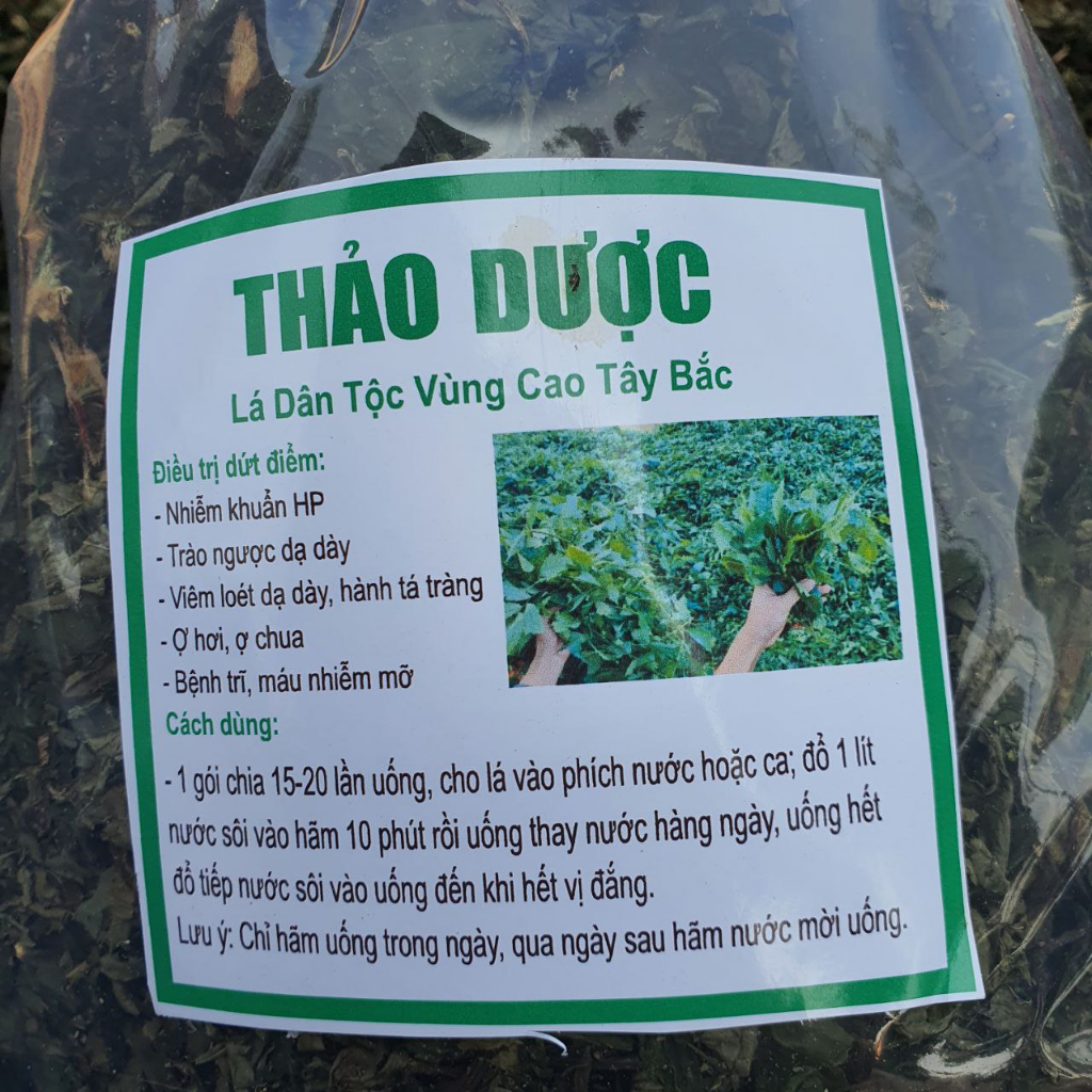 Lá Cơm kìa, Lá dạ dày, Lá đắng, Lá Giải Rượu, Lá rau rừng khô xanh mướt đẹp