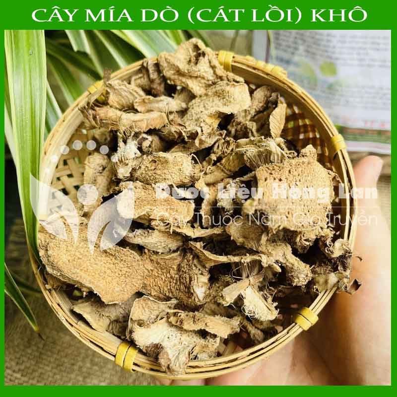 ✅ Cây Mía Dò  sấy khô loại 1