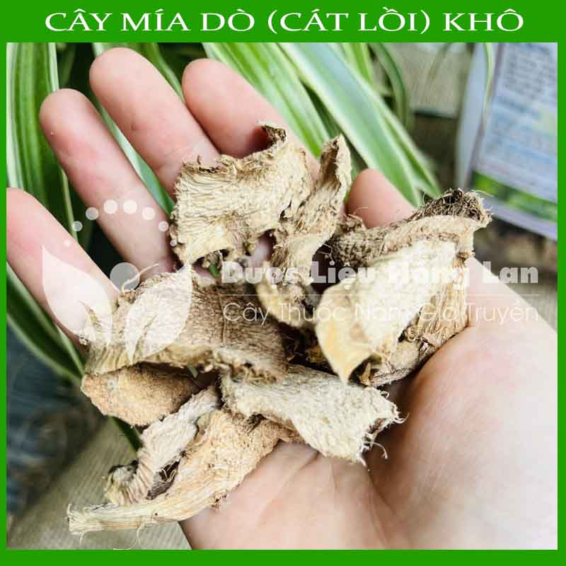 ✅ Cây Mía Dò  sấy khô loại 1