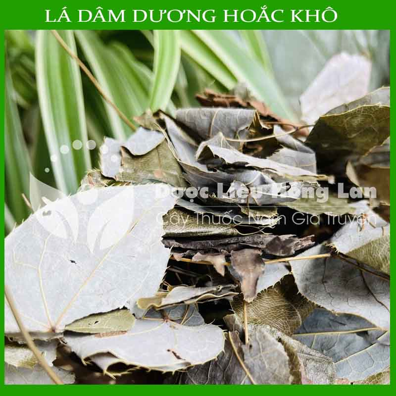 Thảo dược Dâm Dương Hoắc khô loại 1 đóng gói 500g - congtyduoclieuhonglan