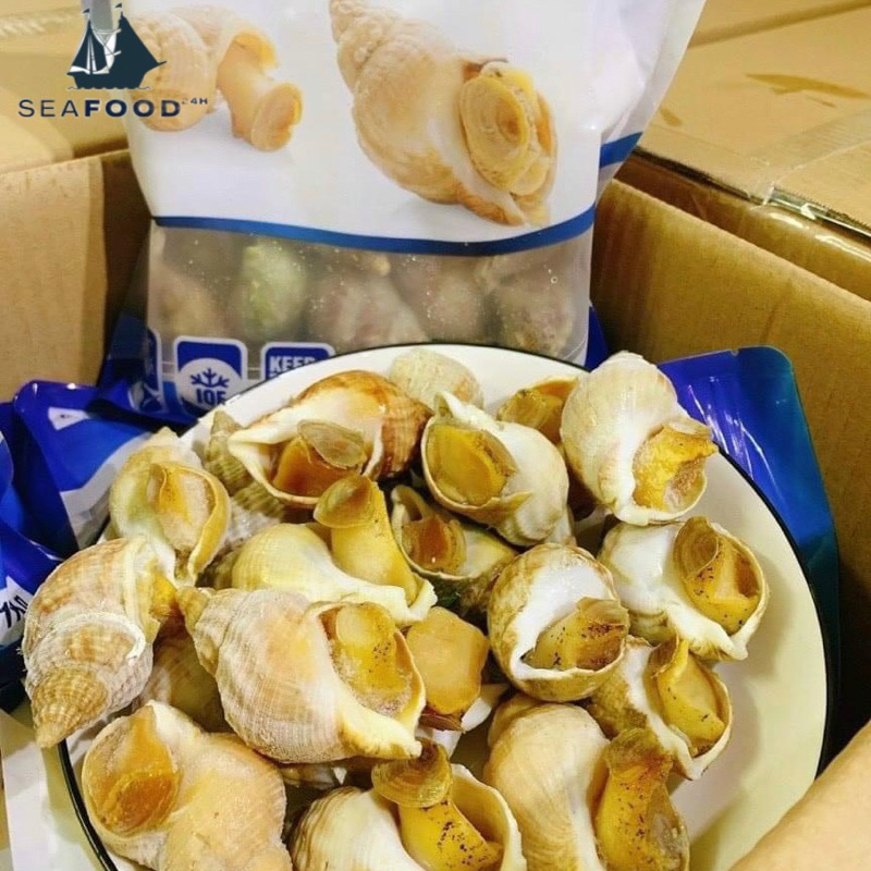 Ốc Bulot Pháp, size 20-30 con/kg. Hàng tươi ngon, sạch cát