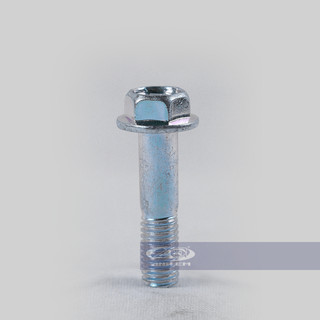 Ốc số 11 (RGV - Apido) - RGV120-0344