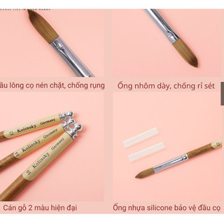Cọ Gỗ Đắp Bột KoLinsKy