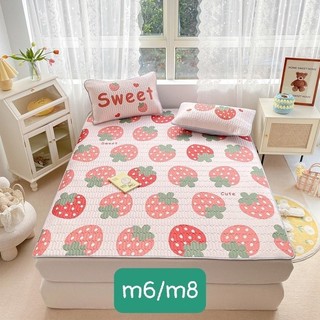 Chiếu điều hòa tencel. Hàng chuẩn chất dày dặn