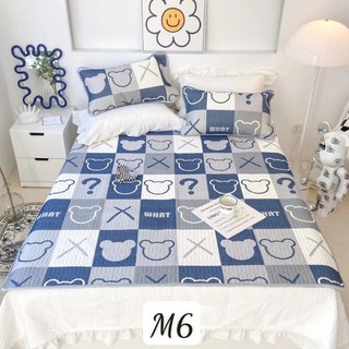 Chiếu điều hòa tencel. Hàng chuẩn chất dày dặn