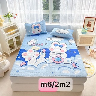 Chiếu điều hòa tencel. Hàng chuẩn chất dày dặn