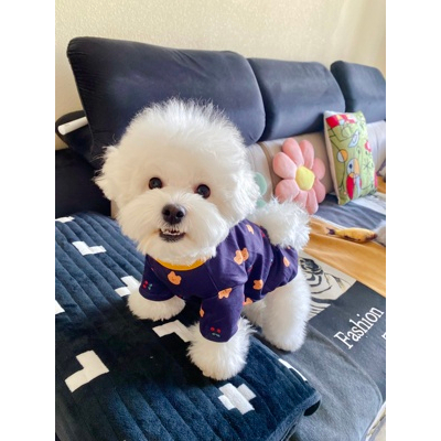 Áo thun gấu & cherry dành cho thú cưng