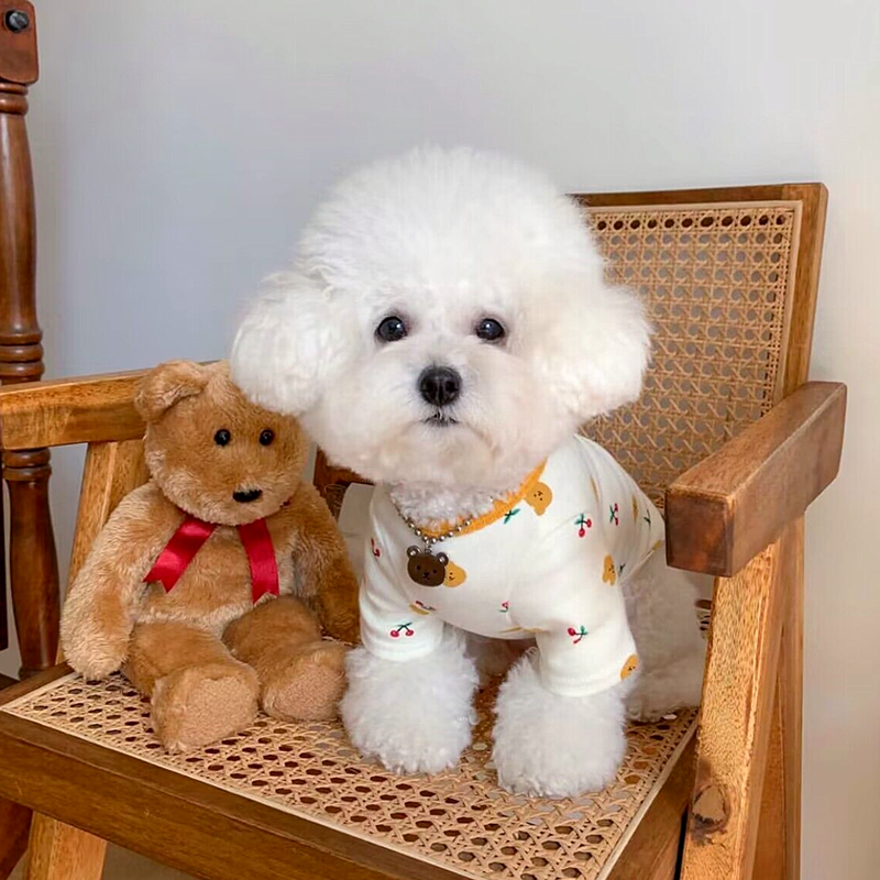 Áo thun gấu & cherry dành cho thú cưng