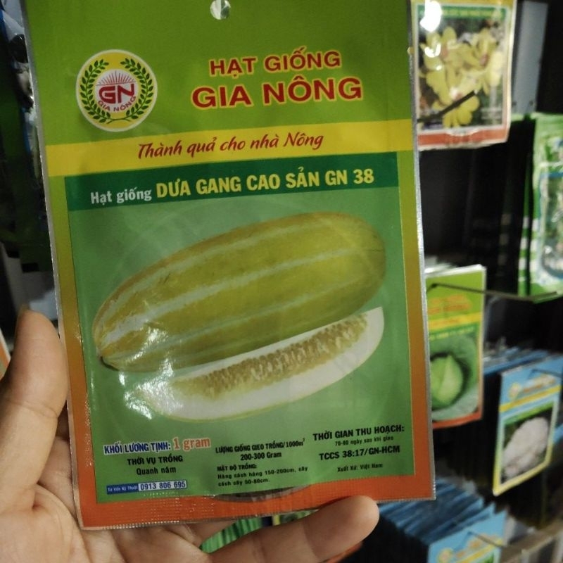 hạt giống dưa gang - dưa vàng