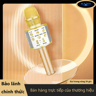 Mic hát karaoke kết nối điện thoại dễ sử dụng，Mic Hát Karaoke Bluetooth Không Dây WS858 - Âm vang - Ấm - mic hát karaoke