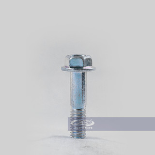 Ốc số 11 (RGV - Apido) - RGV120-0344