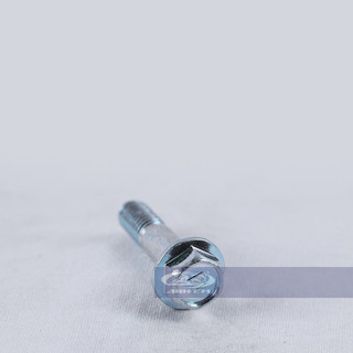 Ốc số 11 (RGV - Apido) - RGV120-0344