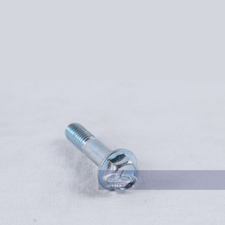 Ốc số 11 (RGV - Apido) - RGV120-0344
