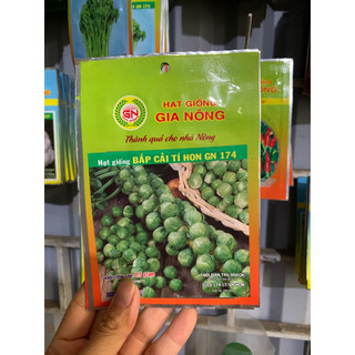 bắp cải tí hon