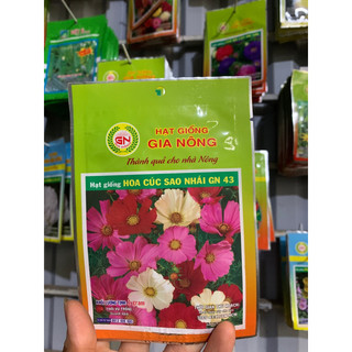 Hạt giống hoa cúc sao nhái - sao nhái đỏ