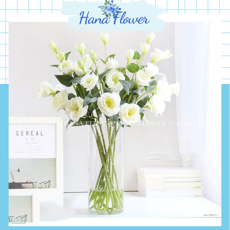 Hoa cát tường, hoa giả để bàn, cành lan tường lụa 2 bông 1 nụ trang trí nhà cửa - Hana Flower