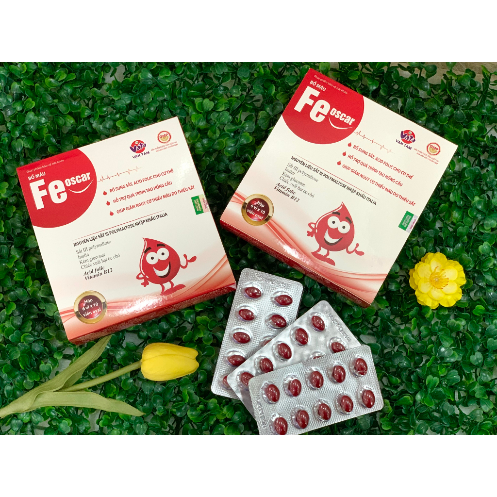 Viên uống bổ máu FEOSCAR 60 viên