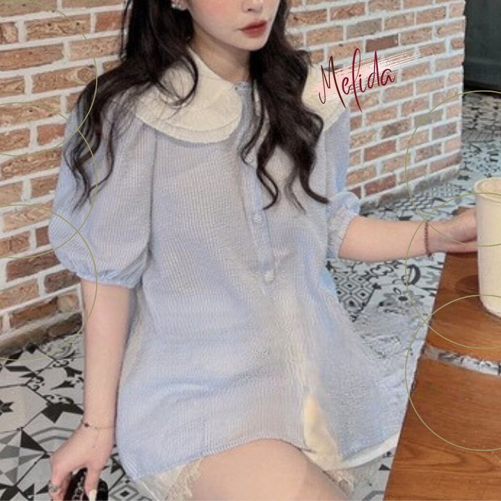 Áo sơ mi nữ kẻ xanh Medila cổ sơ mi nữ tay ngắn dáng xoè cổ sen bèo viền ren tiểu thư thời trang đi học công sở