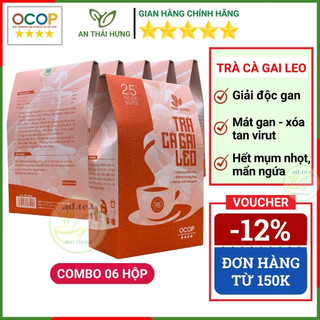 [Combo 06 hộp] Trà Cà Gai Leo Thái Hưng Giải Độc Gan Mát gan,Trà túi lọc thảo dược Hết Mụn Nhọt Mẩn Ngứa