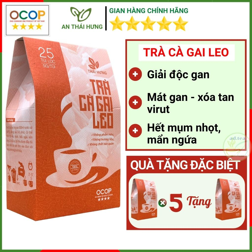 Cà Gai Leo Thái Hưng, Giải Độc Gan, Mát Gan, trà túi lọc thảo dược 25 Túi Lọc 125g Xóa Tan Mụn Nhọt Mẩn Ngứa
