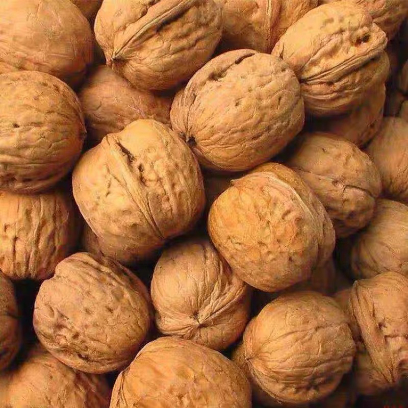 Óc chó nguyên quả