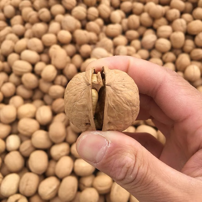 Óc chó nguyên quả