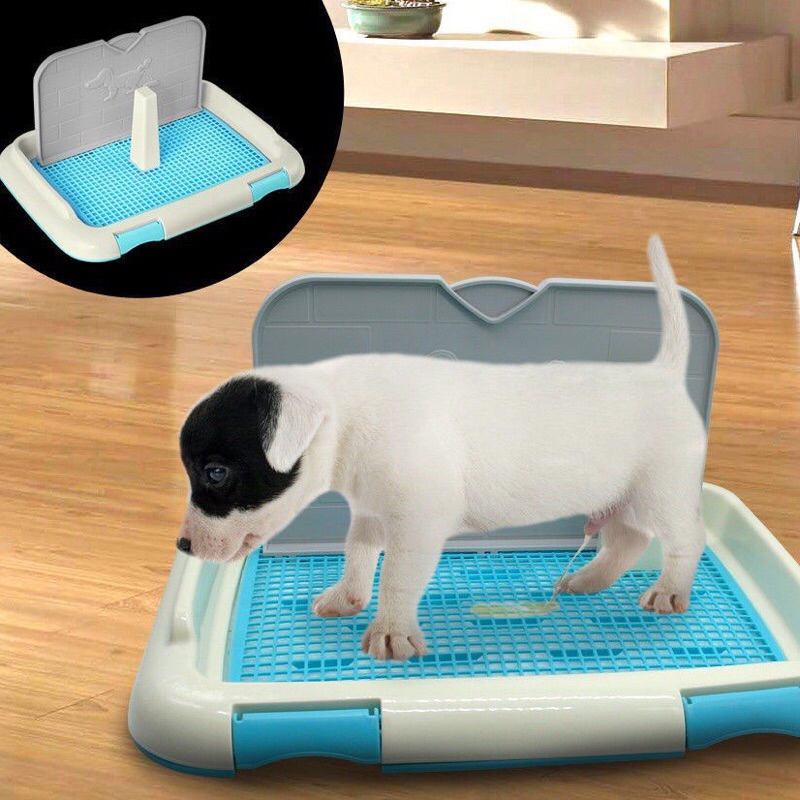 Khay để vệ sinh  dành cho bé cún