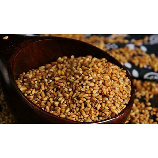 Bá tử nhân hàng đẹp, đã bóc vỏ, sao vàng hạ thổ 100g