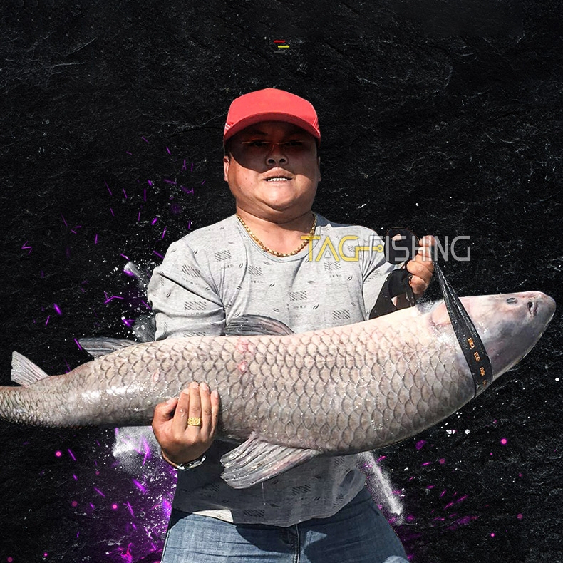 Cần câu đài phục long  GUIDE chính hãng carbon 9 lớp chuyên săn hàng câu tay đơn đài câu cá trắm chép khủng  giá rẻ