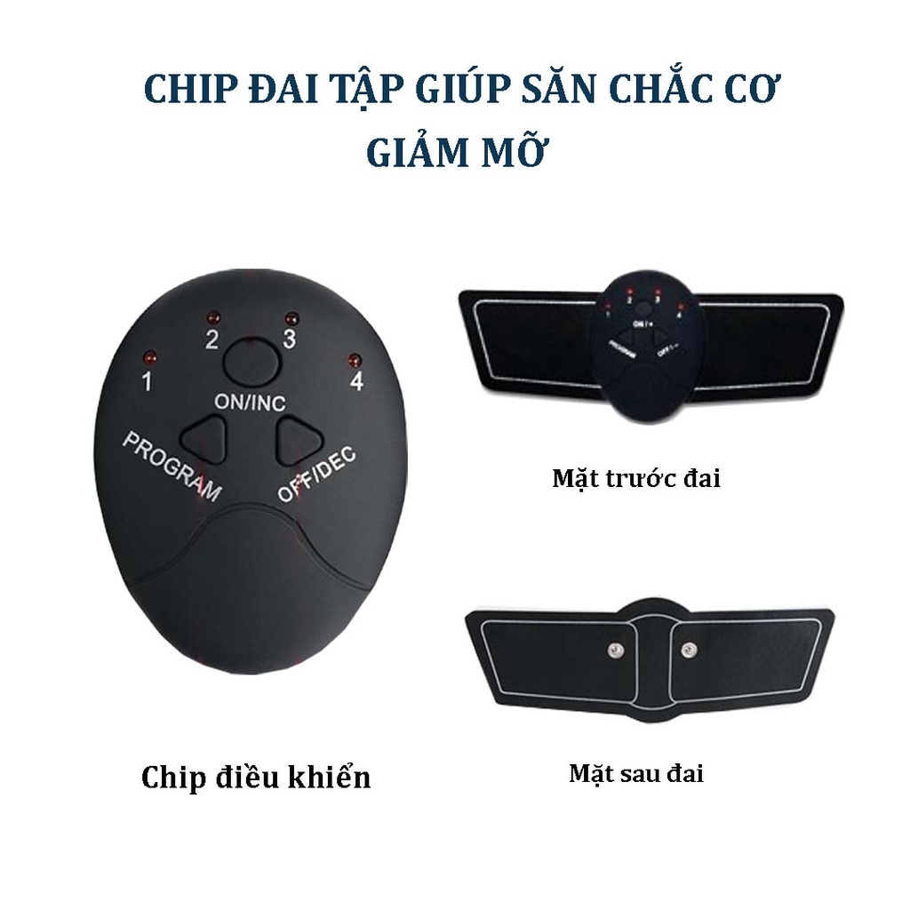 Combo Đai Tập Bụng MEGAFIT SPORT Kết Hợp Đai Tay, Đai Đùi Giúp Giảm Mỡ Săn Cơ Dành Cho Nam và Nữ