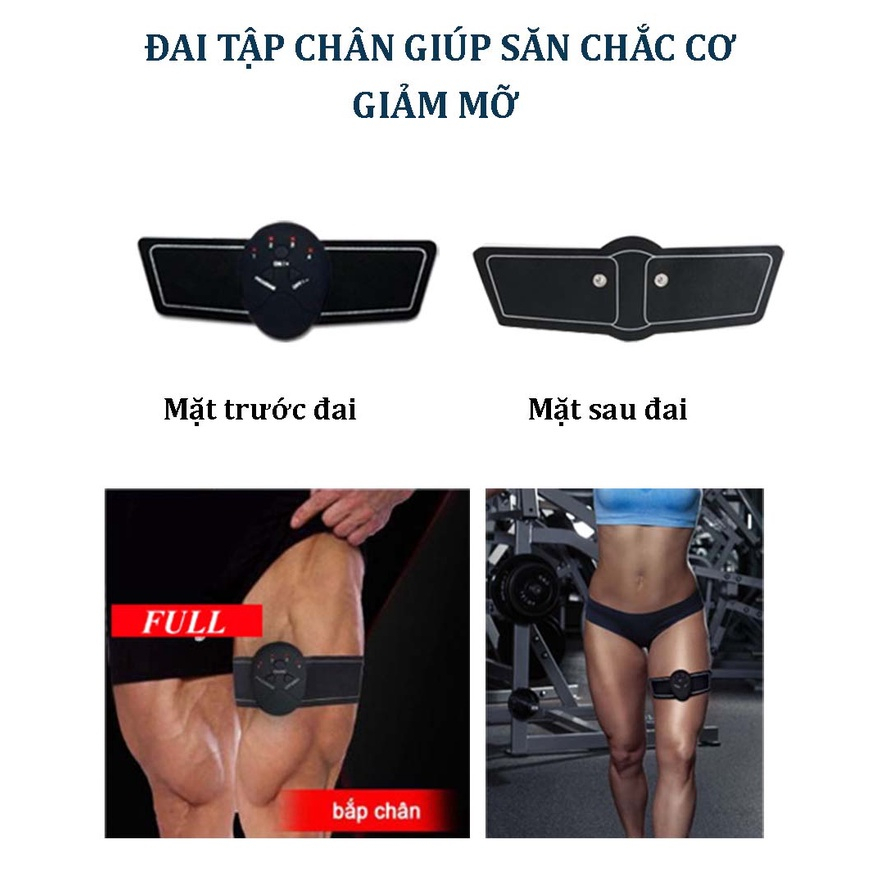Combo Đai Tập Bụng MEGAFIT SPORT Kết Hợp Đai Tay, Đai Đùi Giúp Giảm Mỡ Săn Cơ Dành Cho Nam và Nữ