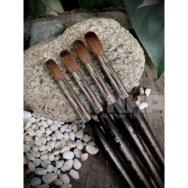 Cọ đắp bột gỗ đen- Ngọc Hà Phan