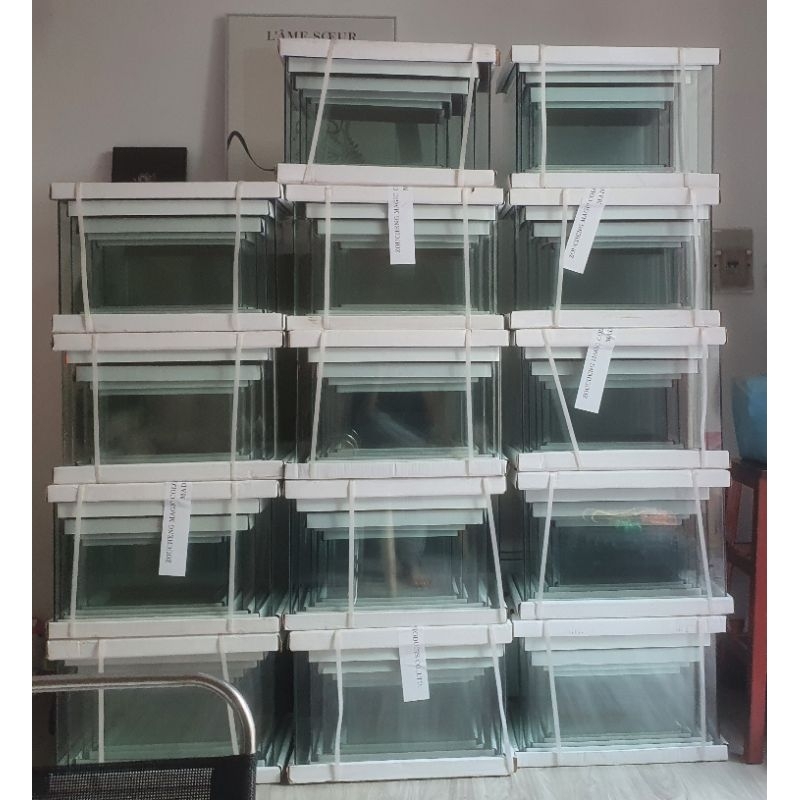 Hồ Đúc Bo Tròn Để Nuôi Cá Thủy Sinh