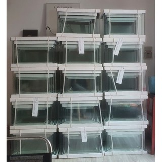 Hồ đúc bo tròn để nuôi cá thủy sinh
