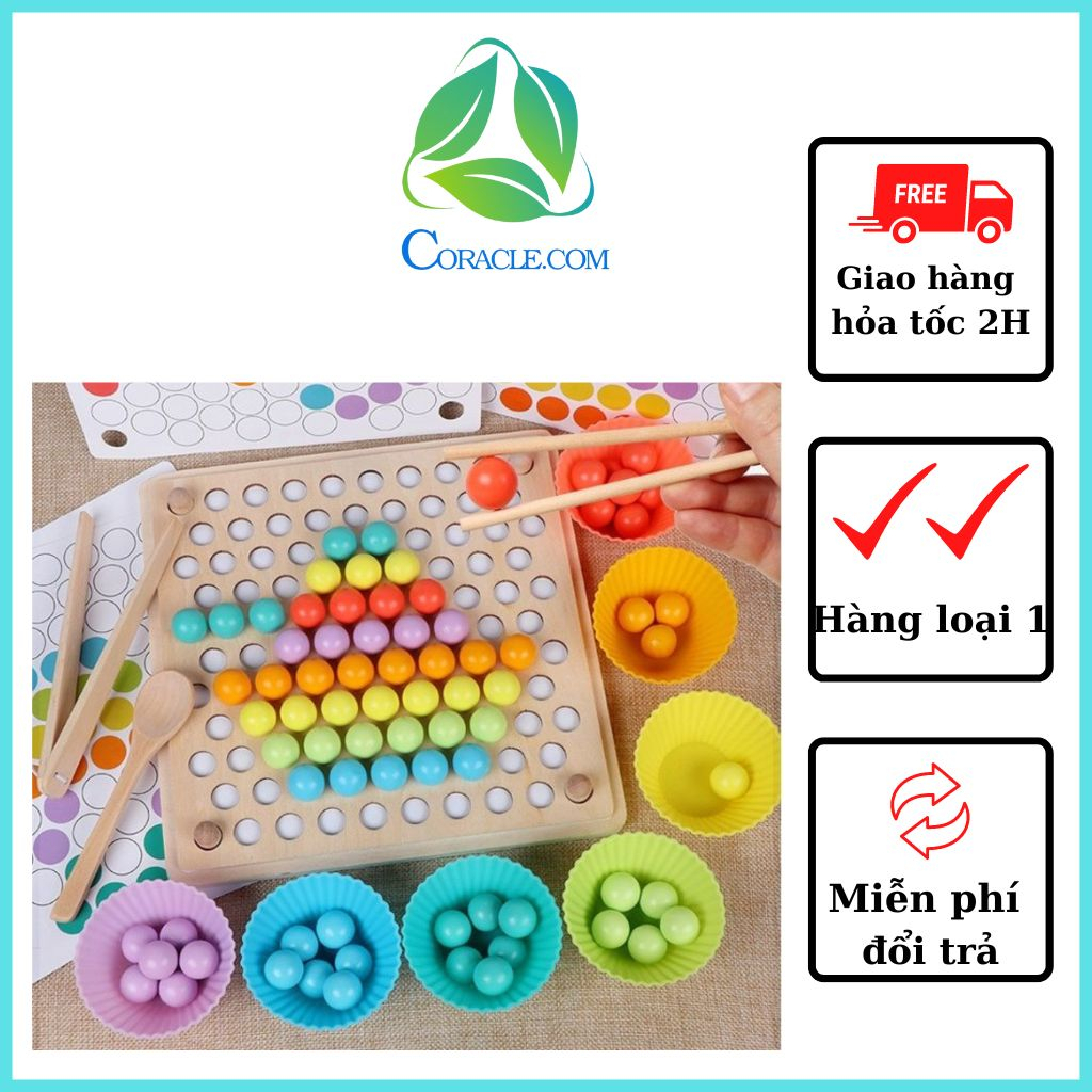 Đồ chơi gắp bi gỗ Montessori, gắp hạt kèm bát kích thích sáng tạo cho bé CORACLE.