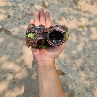 trang trí bể cá mô hình thùng gỗ mục