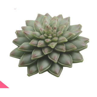 Khuôn silicon 3d làm rau câu làm bánh mẫu Sen đá xòe đại MS109