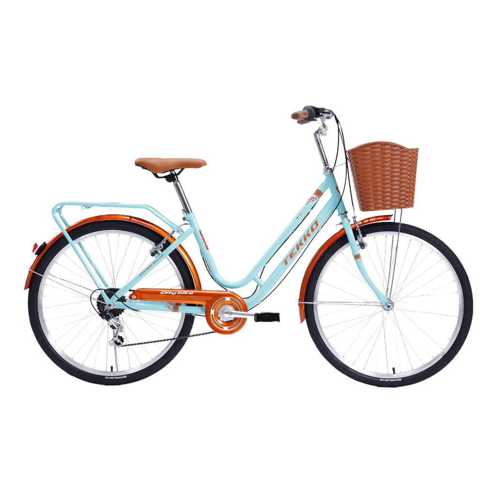 Xe đạp TEKKO C200.S 26 inch