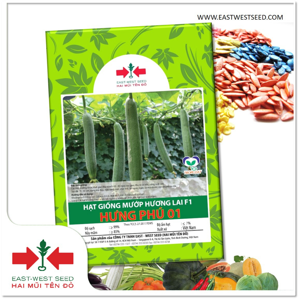 GÓI 10g (KHOẢNG 90 HẠT) HẠT GIỐNG LAI F1 MƯỚP HƯƠNG HƯNG PHÚ 1 CỦA EAST-WEST SEED (HAI MŨI TÊN ĐỎ)