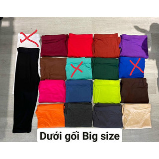 BIGSIZE Quần lửng dưới gối legging thun thái lan (hàng RAINBOW)